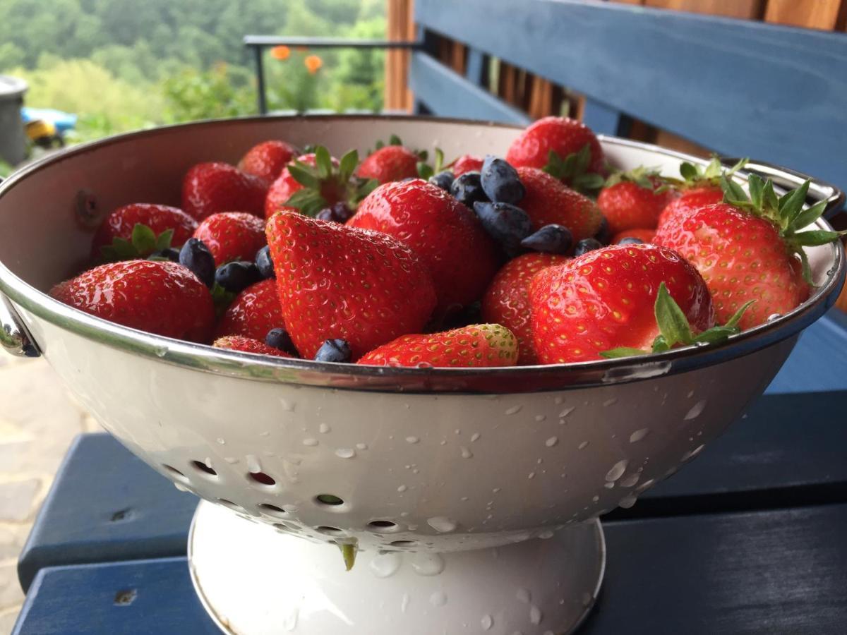 Rose Hip Hill Farm Bed & Breakfast Valea Tirnei Dış mekan fotoğraf