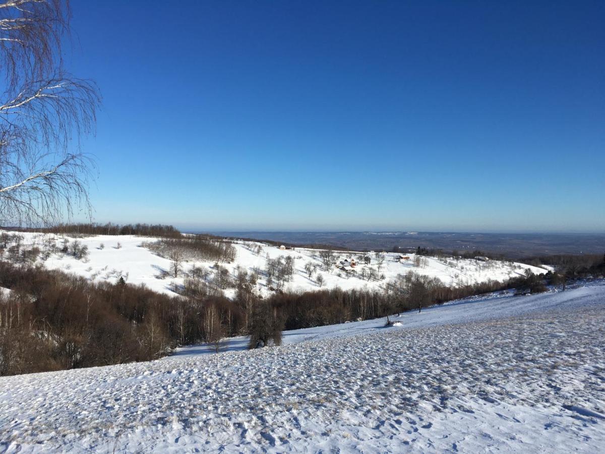 Rose Hip Hill Farm Bed & Breakfast Valea Tirnei Dış mekan fotoğraf