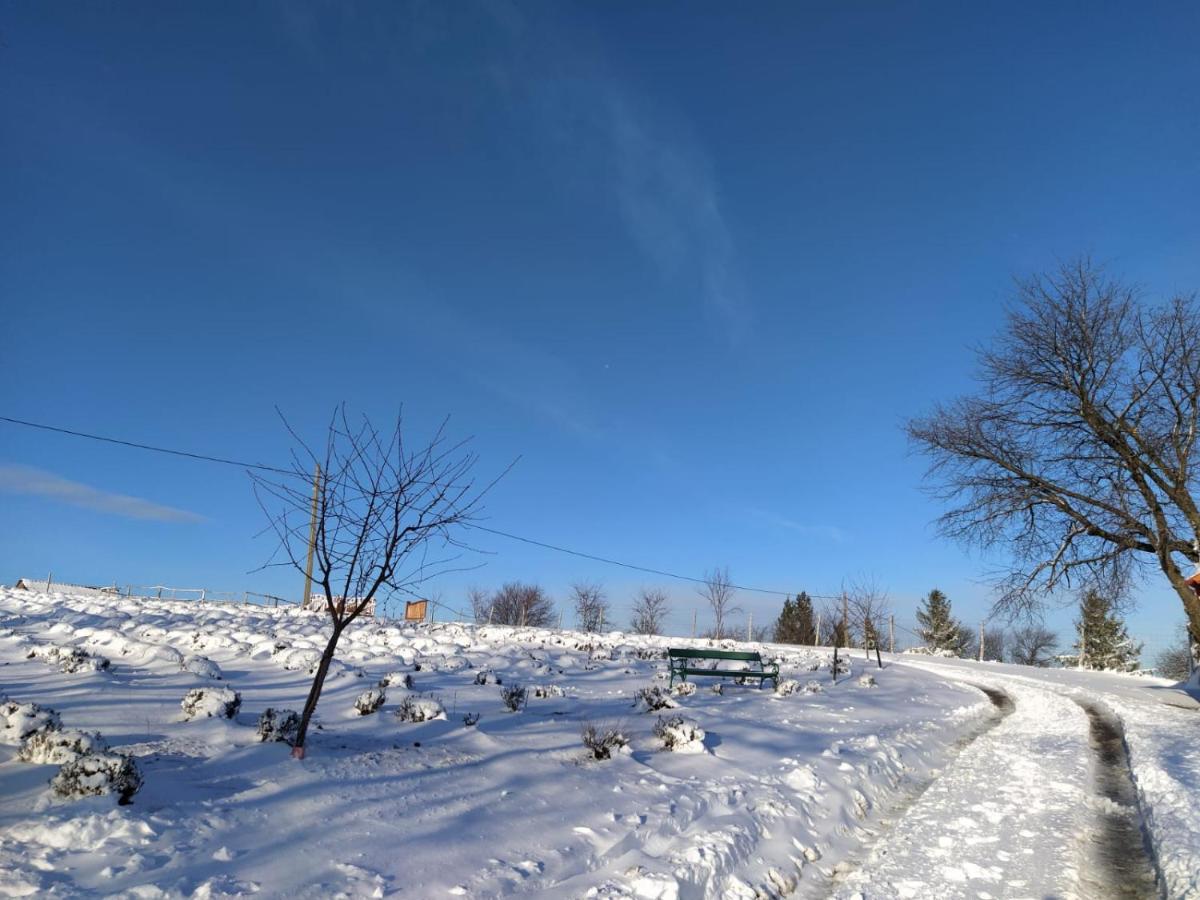 Rose Hip Hill Farm Bed & Breakfast Valea Tirnei Dış mekan fotoğraf