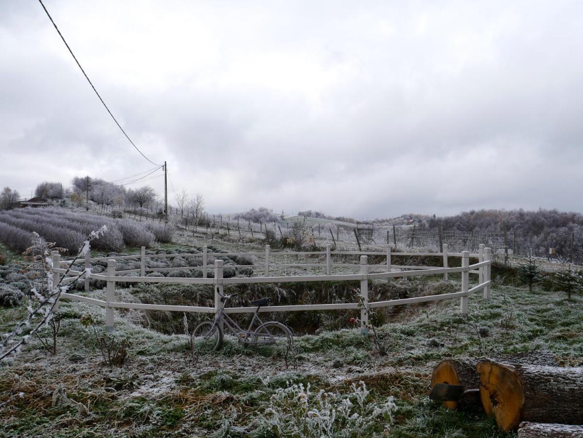 Rose Hip Hill Farm Bed & Breakfast Valea Tirnei Dış mekan fotoğraf