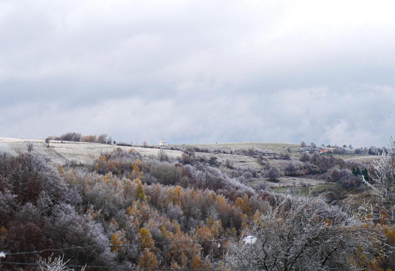 Rose Hip Hill Farm Bed & Breakfast Valea Tirnei Dış mekan fotoğraf