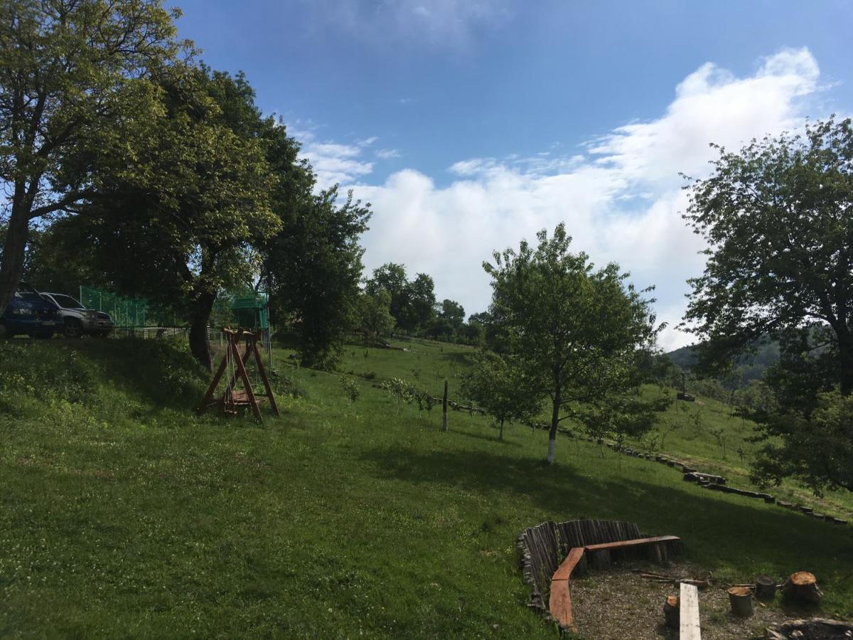 Rose Hip Hill Farm Bed & Breakfast Valea Tirnei Dış mekan fotoğraf