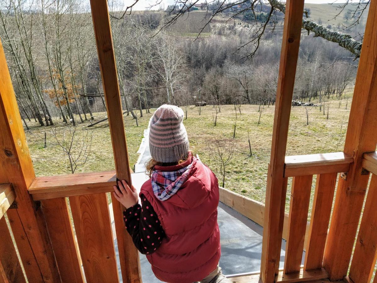 Rose Hip Hill Farm Bed & Breakfast Valea Tirnei Dış mekan fotoğraf