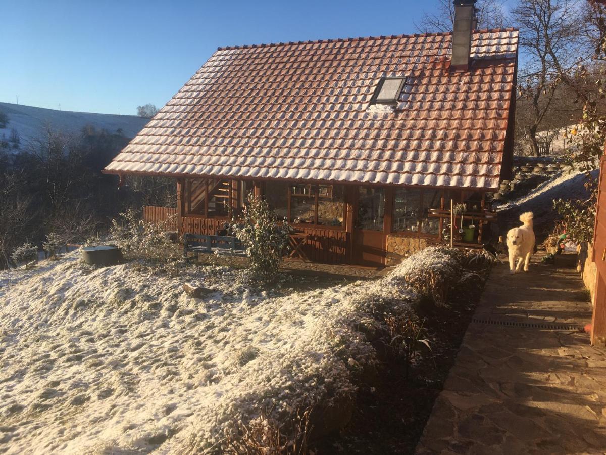Rose Hip Hill Farm Bed & Breakfast Valea Tirnei Dış mekan fotoğraf